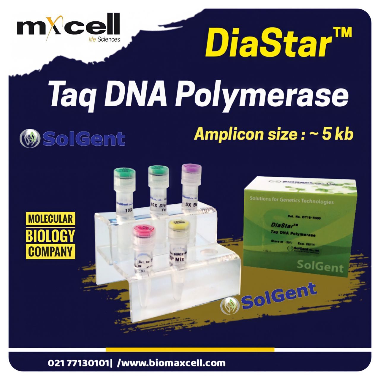 Taq  DNA Polymerase 5U/µl