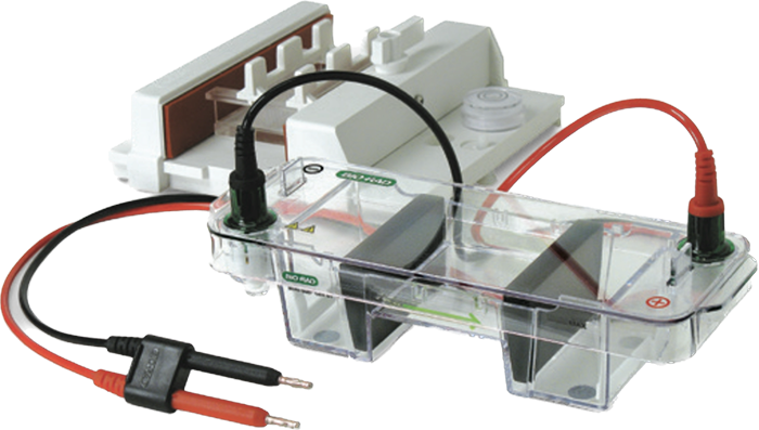 الکتروفورز افقی مدل Mini sub Cell سینی 7x7 cm