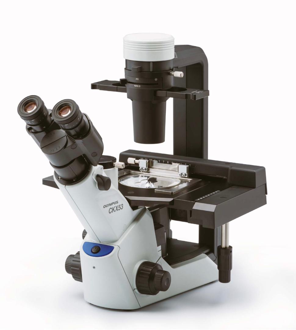 میکروسکوپ اینورت مدل CK53 از کمپانی Olympus ژاپن 